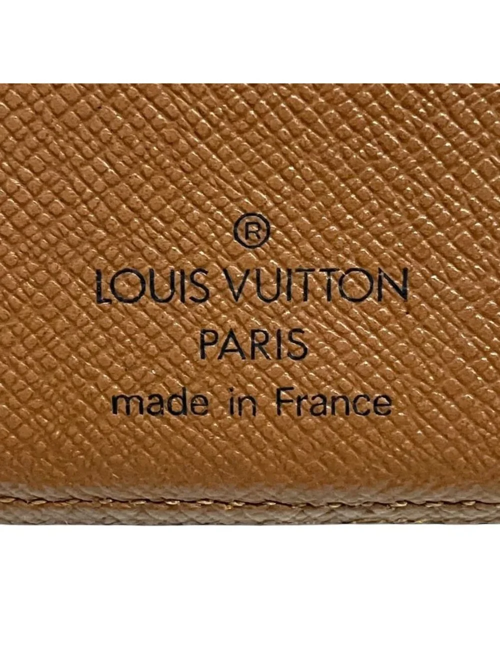 Louis Vuitton brand louis